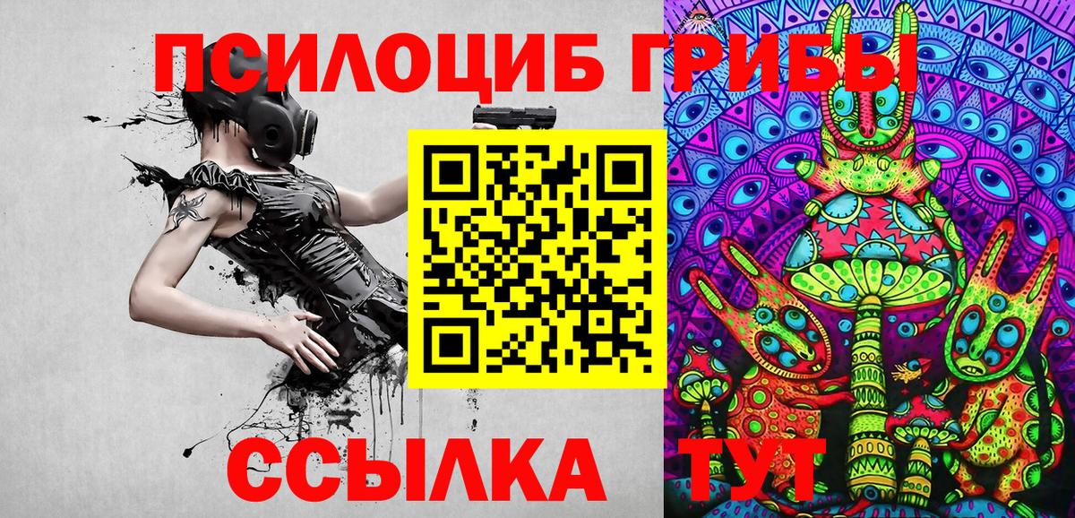 Краснодар  Галлюциногенные грибы Cubensis  Вход с VPN 